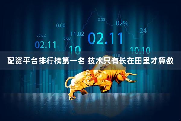 配资平台排行榜第一名 技术只有长在田里才算数